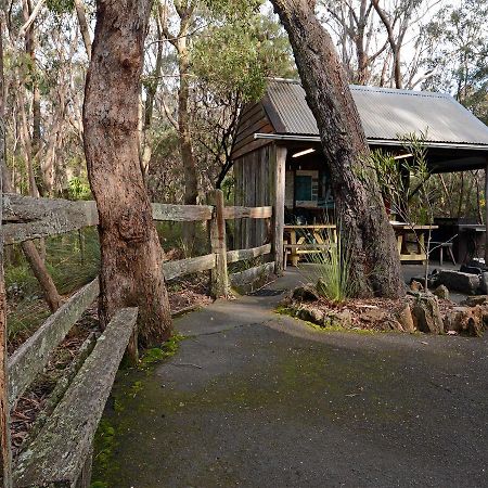 Jemby Rinjah Ecolodge Blackheath Buitenkant foto