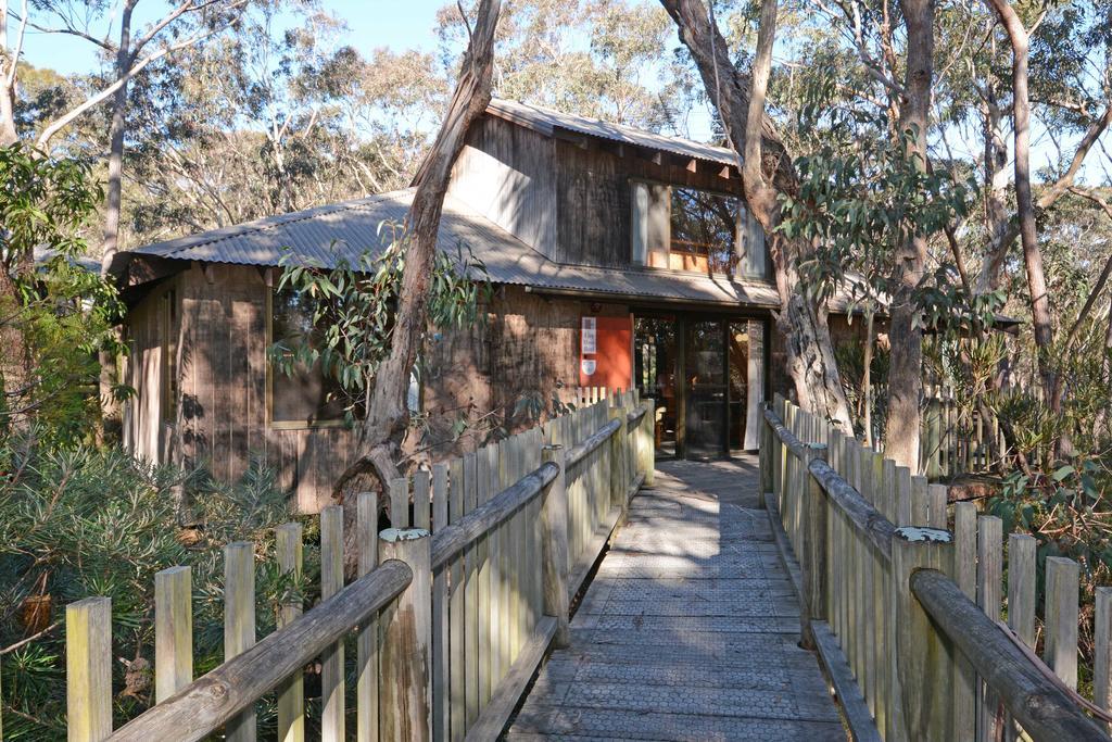 Jemby Rinjah Ecolodge Blackheath Kamer foto