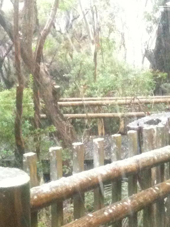Jemby Rinjah Ecolodge Blackheath Buitenkant foto